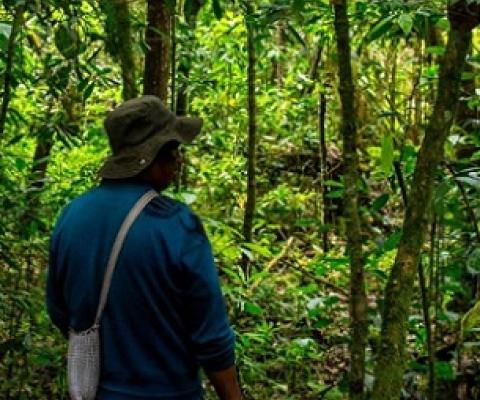 indigenous peoples. Credit - Mongabay.com