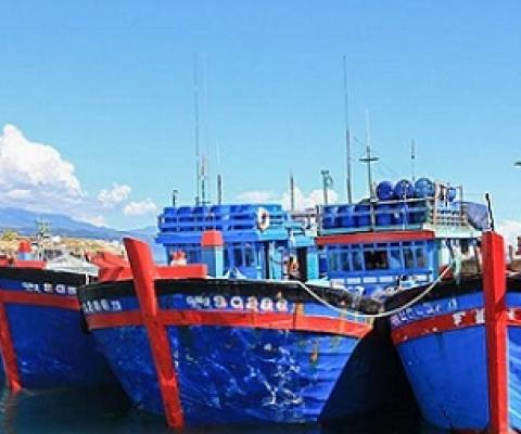 Three Vietnamese blue boats moored at a Solomon Islands wharf for illegal fishing, March 2017. Non-compliance with licence conditions is a greater source of IUU fishing than illegal fishing. Photo: Pacific Guardians.
