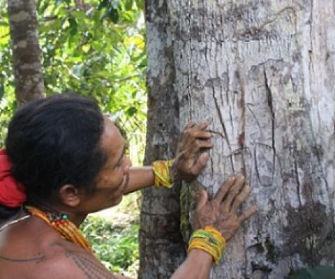 Photo - Vinolia Ahmad/Mongabay-Indonesia.