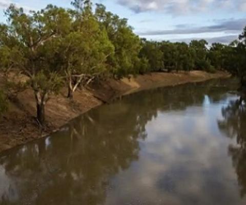 The Darling river in Louth, New South Wales. The amount of Australian water lost through theft is particularly relevant as governments grapple with the next stage of the Murray-Darling Basin plan. Photograph: Jenny Evans/Getty Images