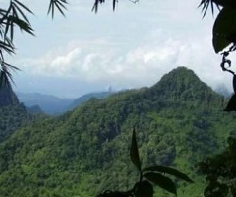 The island São Tomé, one of the Gulf of Guinea Islands that was part of the study. Credit: Ricardo de Lima