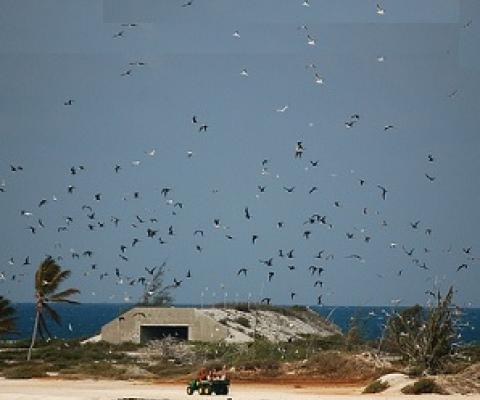 Johnston Atoll Wildlife Refuge. Credit - www.Touristlink.com