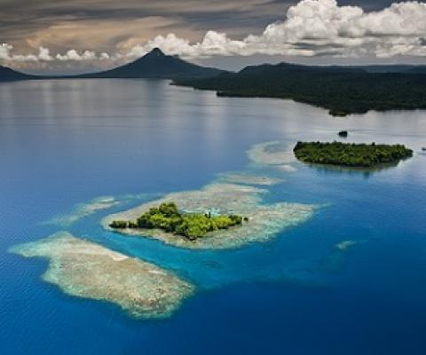 Photo - David-Doubilet