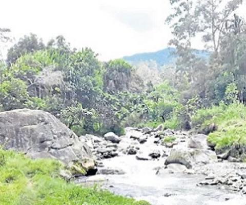 Conserving Nokondi land. Credit - Shirley Komogi