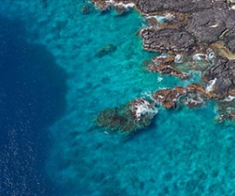 Reefs off the Captain James Book Monument in Kealakekua Bay, Hawaii. Credit - Rhett A. Butler