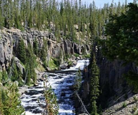 Credit: Unsplash/CC0 Public Domain