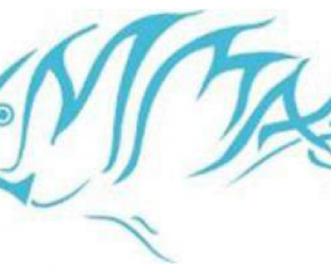 LMMA logo. Credit - LMMA network