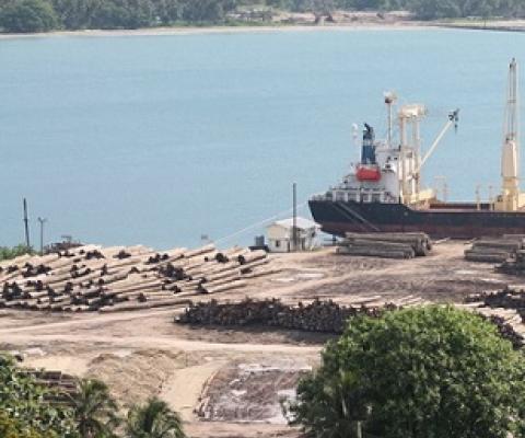 Export of round logs is the main economic activity in PNG's West Sepik province, but the profits largely go abroad. Photo: RNZI / Johnny Blades