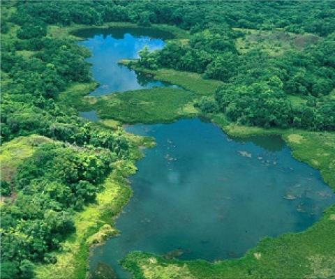 Lake Ngardok Nature Reserve, Palau. Credit - Colin Joseph
