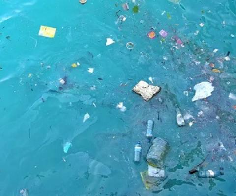 Areas with floating rubbish on the ocean’s surface have plastic on the seafloor. Credit - Shutterstock