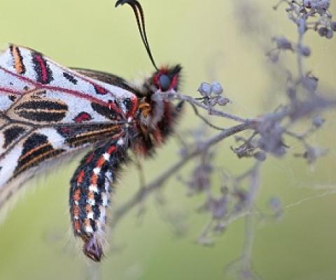 Credit: CC0 Public Domain