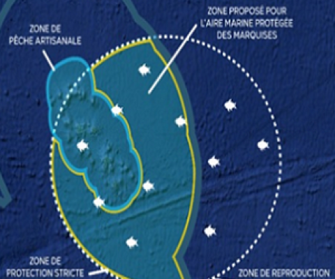 Aire Marine Protegee Des Marquises. Credit - https://www.tntv.pf/