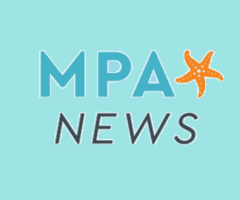 MPA news logo