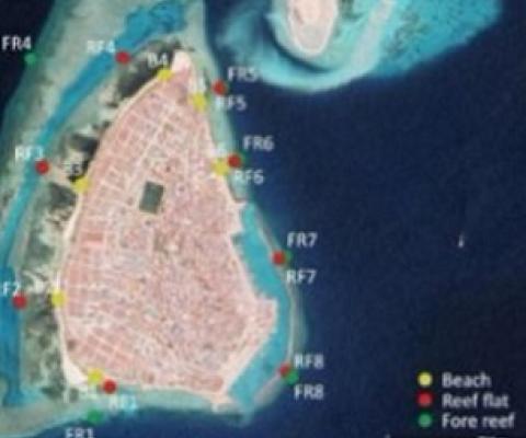 The researchers from Flinders University in Australia collected samples from 22 sites, including beaches, reef flats and fore reefs. Photo - Flinders University