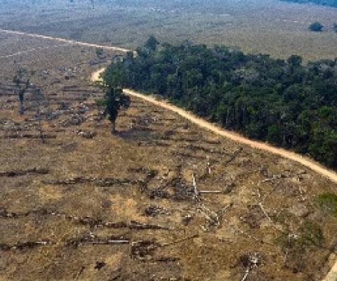 Human activity has already severely degrated three quarters of land on Earth. Source - Phys.org