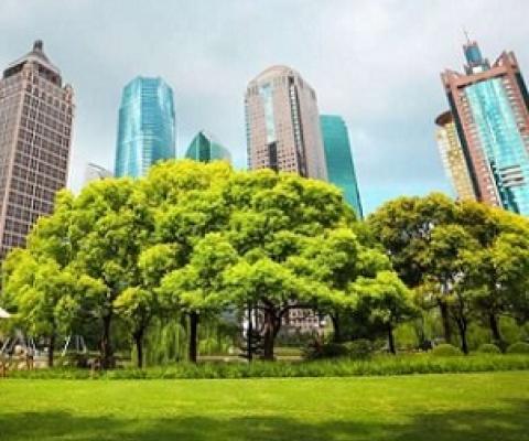 Urban nature based solutions to climate change. Credit - Shutterstock