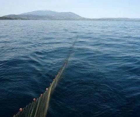 Ocean 'conservation zones' would slow down climate change as well as benefitting fishing communities, experts say. Source - https://uk.news.yahoo.com/ 