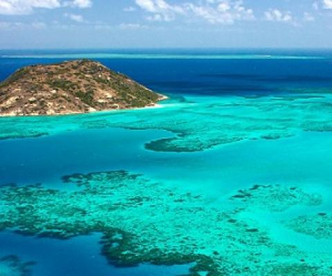 A growing body of work shows that marine animals are attracted to the sounds of healthy environments. Photo by Oliver Lucanus/NiS/Minden Pictures