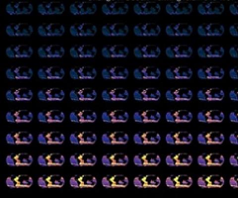 Maps of ocean warming change and its decomposition estimated from observations. Credit: University of Oxford