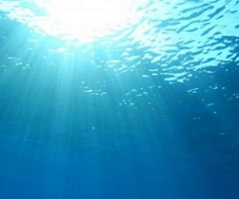 Webinar - Ensuring a robust ‘blue’ recovery in Asia and the Pacific