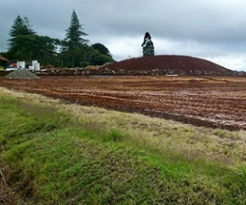 Land on Pukekohe Hill used for early potatoes now being readied for development. Credit - Hamish Cardwell, www.rnz.co.nz 