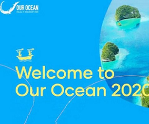 Our Ocean Conference 2020 promo banner. Source - www.islandtimes.org