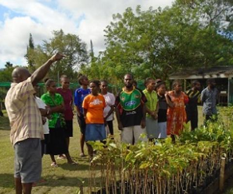 Ioan Viji, PACRES Officer facilitating a field session during the workshop. Credit - www.dailypost.vu 
