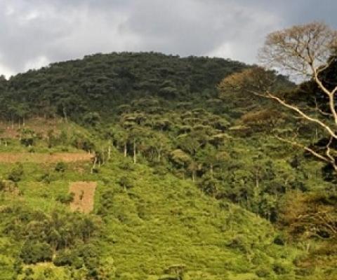 Land degradation at the edge of the Bwindi Impenetrable Forest National Park, Uganda