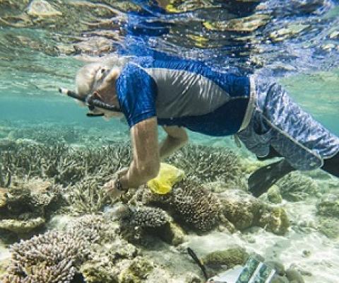 Stanford Professor and PICRC Continue Study of Heat Tolerant Corals in Palau. Credit - PICRC