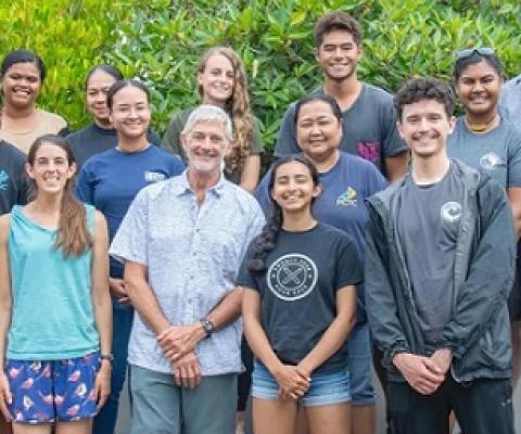 Credit - https://www.islandconservation.org