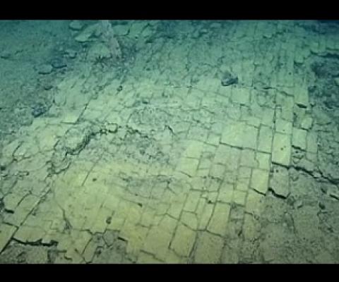 A deep-sea 'yellow brick road'. Image - The Ocean Exploration Trust/E/V/Nautilus/YouTube Screenshot