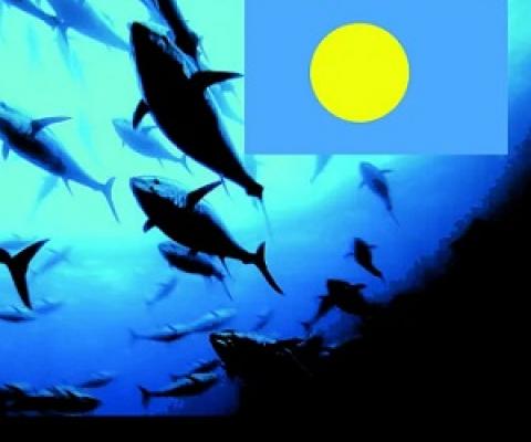 Credit - https://islandtimes.org/