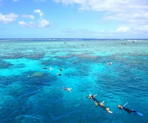 Swimmers, divers and snorkelers said they experience significantly more marine life in fully protected areas, but not partially protected areas. Shutterstock