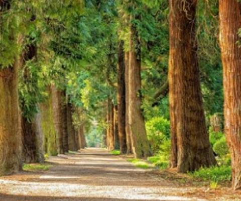 Public places. Credit - CC0 public Domain