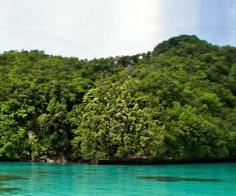 Ngeanges Island, Palau. Credit - https://www.islandconservation.org