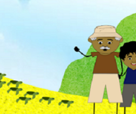 New children’s book about endangered sea turtles debuts in Palau. Credit - PCS