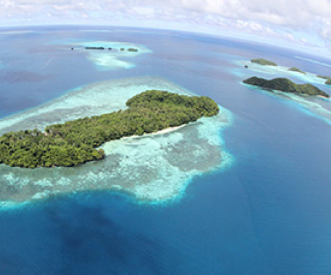 Our Oceans 2020 Conference remains on schedule