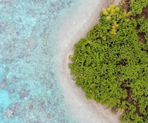 Palmyra Atoll. Credit - The Nature Conservancy