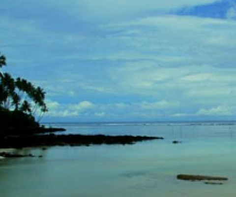 Informing the post-2020 Global Biodiversity Framework: Overcoming Obstacles to Develop Biodiversity Baseline Data in Small Island Developing States (Session 1)