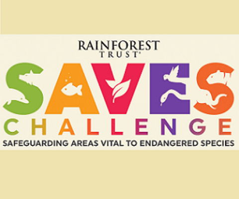Rainforest Trust SAVES challenge logo. Credit - https://www.rainforesttrust.org/