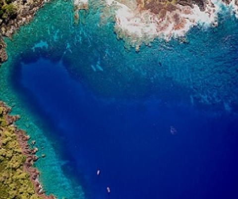 A look at Honaunau Bay on the Big Island from the GAO’s ultra-high resolution imager. Image by Greg Asner, Arizona State University Center for Global Discovery and Conservation Science