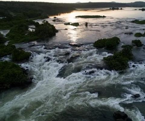 Rivers are key to restoring the world’s biodiversity. Credit - Eli Reichman