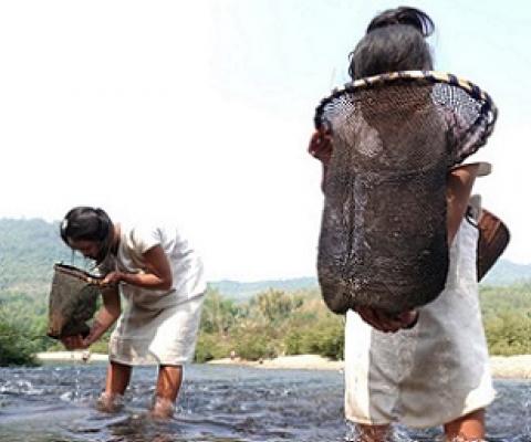Pwak’nyaw (also known as S’gaw Karen) people living at this site in Myanmar, located on a tributary of the Salween River, use their Indigenous knowledge to obtain food. Credit - Paul Sein Twa/KESAN
