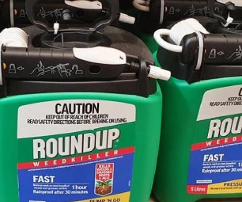 Glyphosate is the key ingredient in Roundup, which is one the biggest selling weedkillers in the world.(ABC Far North: Phil Brandel)