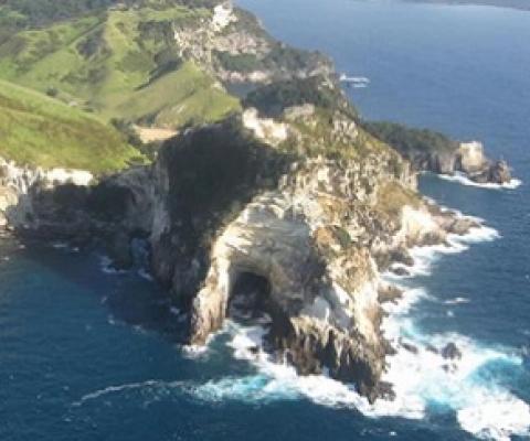 The 330-hectare Rakitū Island is now officially predator free. Source: rnz.co.nz