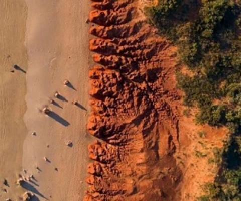 Renewable energy can save the natural world, but if we're not careful, it will also hurt it. credit - Shutterstock 