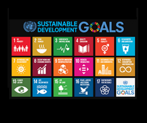 sustainable development goals
