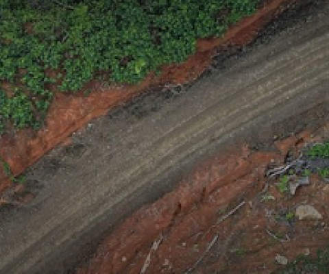 Makira suspends loggers’ licences