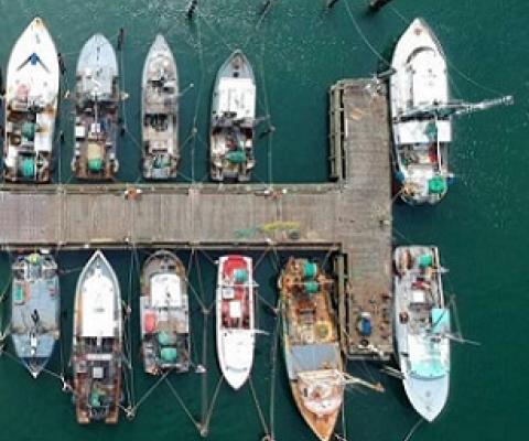 Aerial view of fishing boats at a dock in Southampton, New York. Credit: Jeffrey Blum / Unsplash