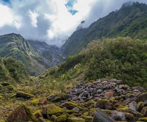 SNAs issue must be tackled head on, councils, iwi told. Credit - 123RF